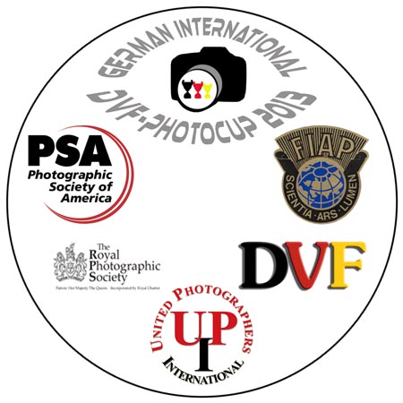gip_medal2013.jpg