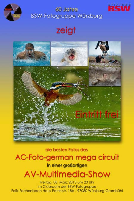 plakat2013web.jpg