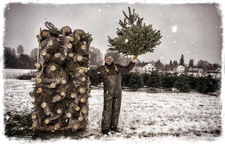 Zum Foto: Eigentlich wollte ich Alexander Schüßler mit einem richtigen Schneegestöber ablichten. Vorsichtshalber machte ich diese Aufnahme (in diesem Fall mit Blitz, damit man die Flocken aufleuchten sieht) die sich leider nicht wiederholen ließ. Dies war der einzige "heftige" Schneefall in der Zeit, als er die Bäume verkaufte.